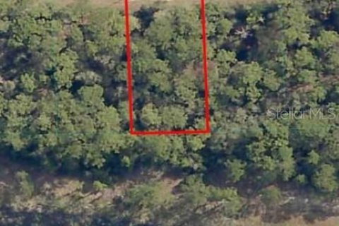 Land in Ocklawaha, Florida № 2212662