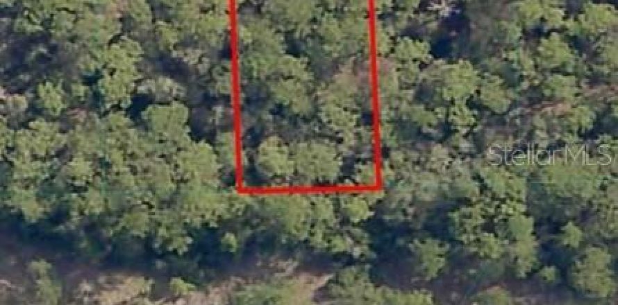 Land in Ocklawaha, Florida № 2212662