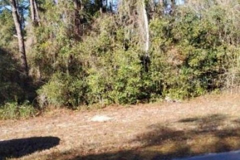 Land in Ocklawaha, Florida № 2212662 - photo 3
