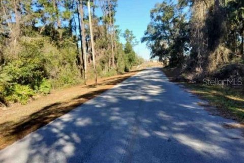 Land in Ocklawaha, Florida № 2212662 - photo 4