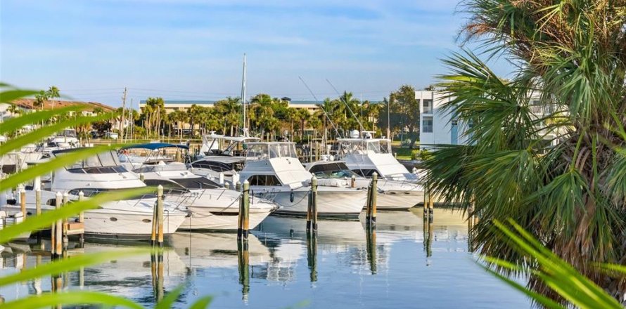 Casa en Tierra Verde, Florida 3 dormitorios, 214.51 m2 № 813729