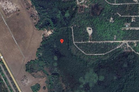 Land in Satsuma, Florida № 2159725 - photo 5