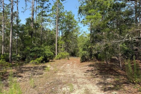 Land in Satsuma, Florida № 2159725