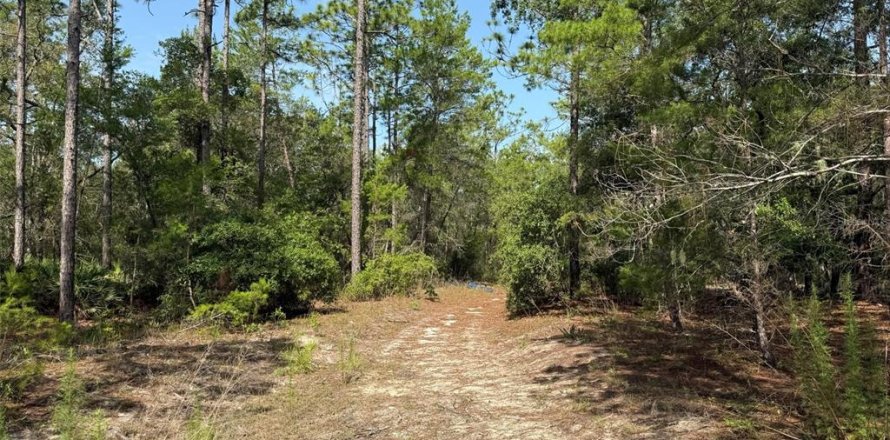 Land in Satsuma, Florida № 2159725