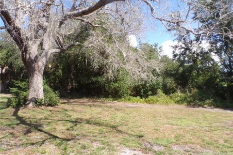 Villa ou maison à louer à Punta Gorda, Floride: 2 chambres, 97.55 m2 № 2148892 - photo 24