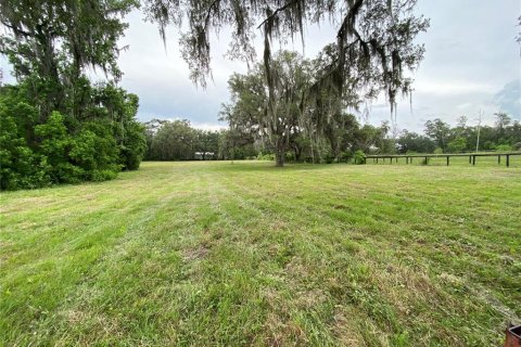 Terrain à vendre à Ocala, Floride № 2206343 - photo 7