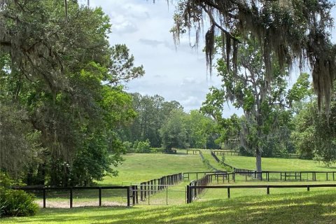 Land in Ocala, Florida № 2206343