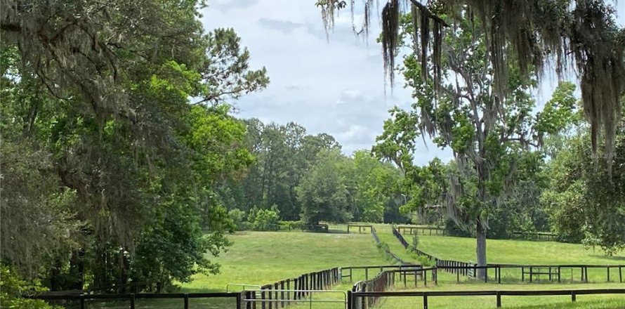 Terrain à Ocala, Floride № 2206343