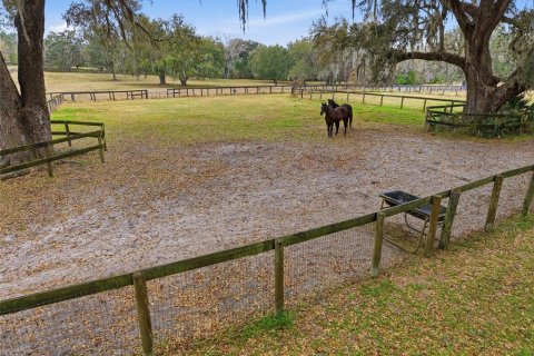 Terrain à vendre à Ocala, Floride № 2206343 - photo 23