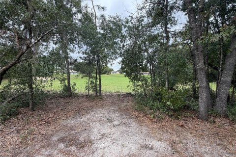 Villa ou maison à louer à Ocala, Floride: 3 chambres, 115.76 m2 № 2418760 - photo 14