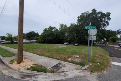 Land in New Smyrna Beach, Florida № 2109279 - photo 3