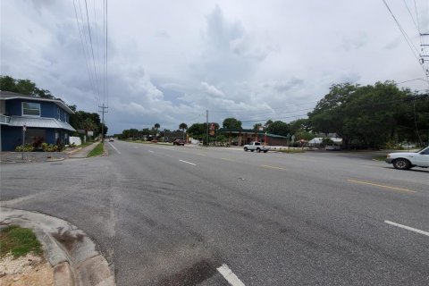 Land in New Smyrna Beach, Florida № 2109279 - photo 2
