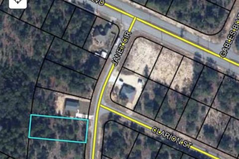 Land in Chipley, Florida № 2259045 - photo 2
