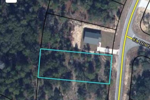Land in Chipley, Florida № 2259045
