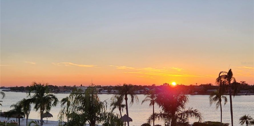 Condo à Saint Petersburg, Floride, 2 chambres № 1614410
