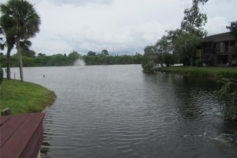 Copropriété à louer à Saint Petersburg, Floride: 2 chambres, 109.62 m2 № 2402850 - photo 5