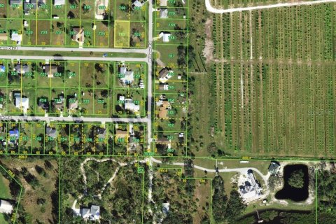 Land in Punta Gorda, Florida № 2207048 - photo 3