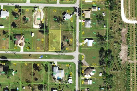 Land in Punta Gorda, Florida № 2207048 - photo 2