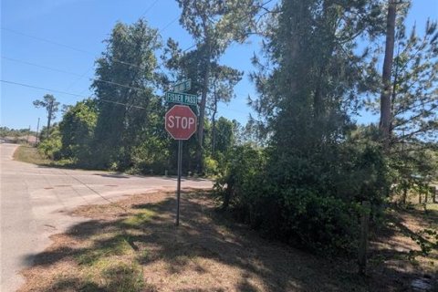 Land in Ocklawaha, Florida № 1640730 - photo 3