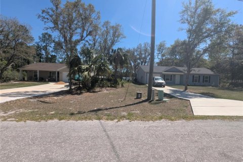 Land in Ocklawaha, Florida № 1640730 - photo 5