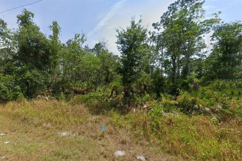 Land in Sebring, Florida № 2230340 - photo 2
