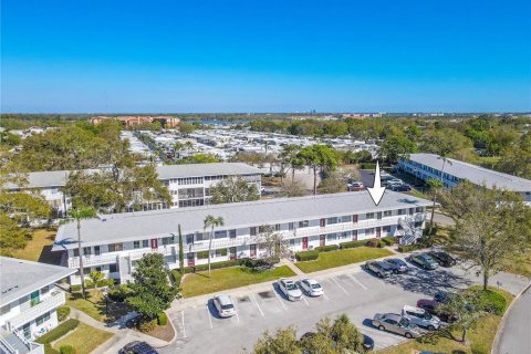 Condo in Seminole, Florida, 1 bedroom  № 1576619 - photo 25
