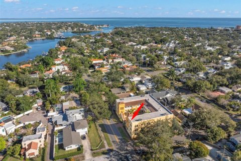 Condo in Saint Petersburg, Florida, 2 bedrooms  № 2129315 - photo 30