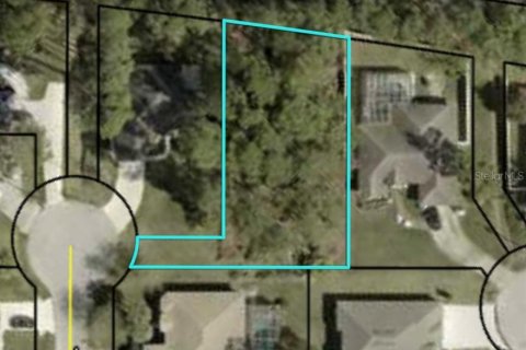Land in Palm Coast, Florida № 1717162 - photo 1