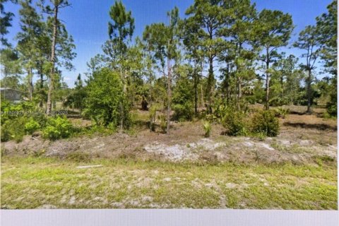 Land in Clewiston, Florida № 1849078 - photo 1