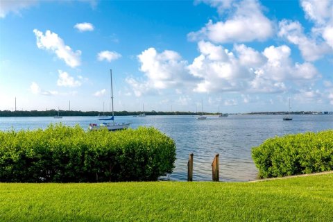 Copropriété à louer à Saint Petersburg, Floride: 1 chambre, 72.46 m2 № 2406516 - photo 30