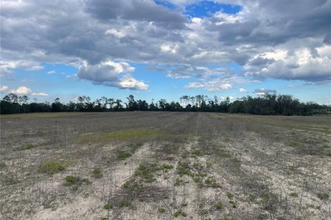 Terreno en venta en Citra, Florida № 2097372 - foto 4