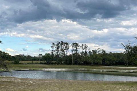 Terreno en venta en Citra, Florida № 2097372 - foto 8