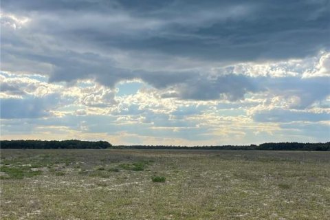 Terreno en venta en Citra, Florida № 2097372 - foto 5
