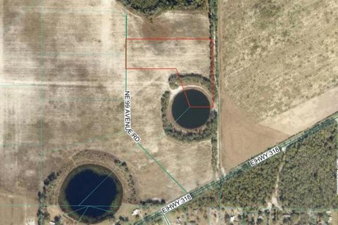 Terreno en venta en Citra, Florida № 2097372 - foto 2