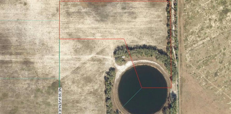 Terreno en Citra, Florida № 2097372