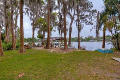 Land in Lutz, Florida № 1879949 - photo 4