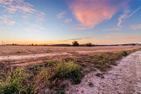 Land in Brooksville, Florida № 2143495 - photo 3