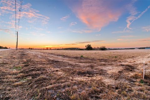 Land in Brooksville, Florida № 2143495 - photo 4