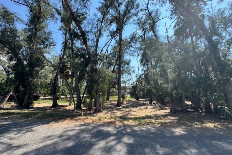 Terreno en New Port Richey, Florida № 2163462