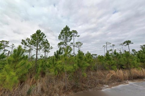 Land in Panama City, Florida № 2203716 - photo 2