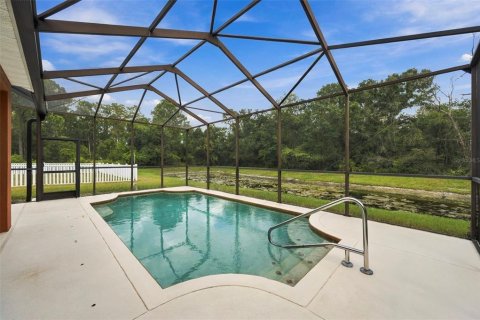 Villa ou maison à vendre à New Port Richey, Floride: 4 chambres, 191.01 m2 № 2401103 - photo 3