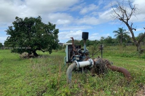 Commercial property in Homestead, Florida № 1998827 - photo 4