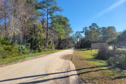 Commercial property in Micanopy, Florida 202.9 sq.m. № 923613 - photo 24