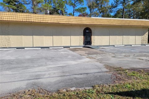 Commercial property in Micanopy, Florida 202.9 sq.m. № 923613 - photo 1