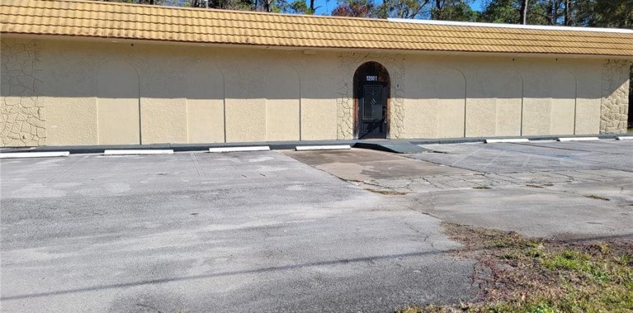 Commercial property in Micanopy, Florida 202.9 sq.m. № 923613
