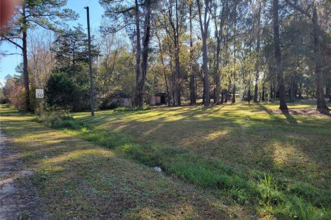Commercial property in Micanopy, Florida 202.9 sq.m. № 923613 - photo 23