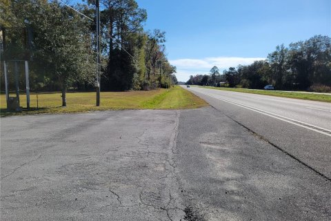 Commercial property in Micanopy, Florida 202.9 sq.m. № 923613 - photo 18