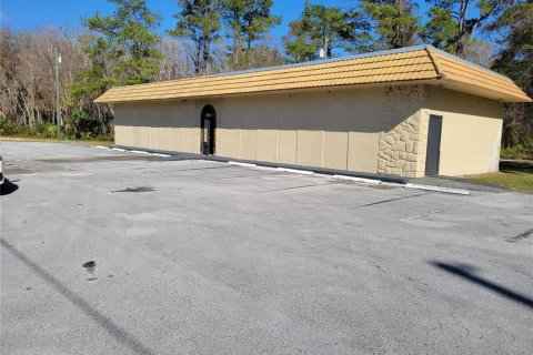 Commercial property in Micanopy, Florida 202.9 sq.m. № 923613 - photo 5