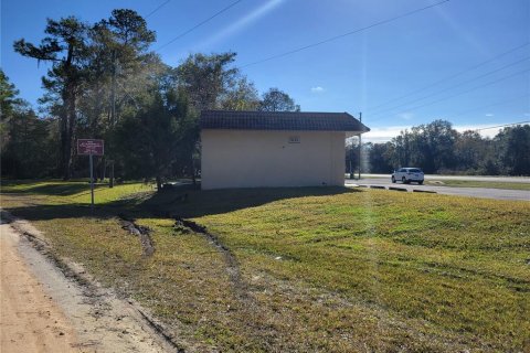 Commercial property in Micanopy, Florida 202.9 sq.m. № 923613 - photo 22