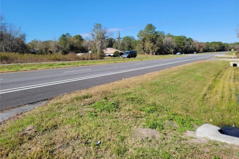 Commercial property in Micanopy, Florida 202.9 sq.m. № 923613 - photo 19